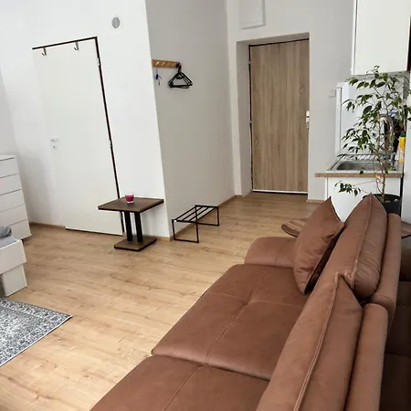Apartament Utulna Garsonka Mezi Kaplici A Benesovem Nad Cernou