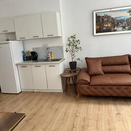 Lejlighed Utulna Garsonka Mezi Kaplici A Benesovem Nad Cernou